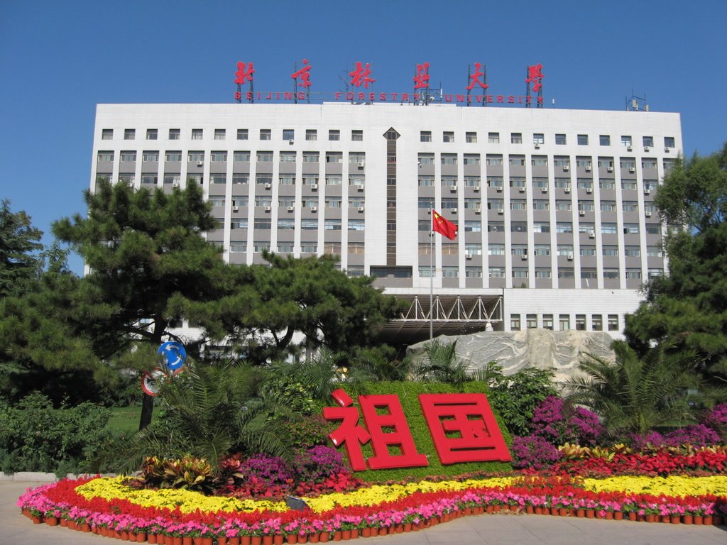 Campus de Beijing Forestry University en Chine