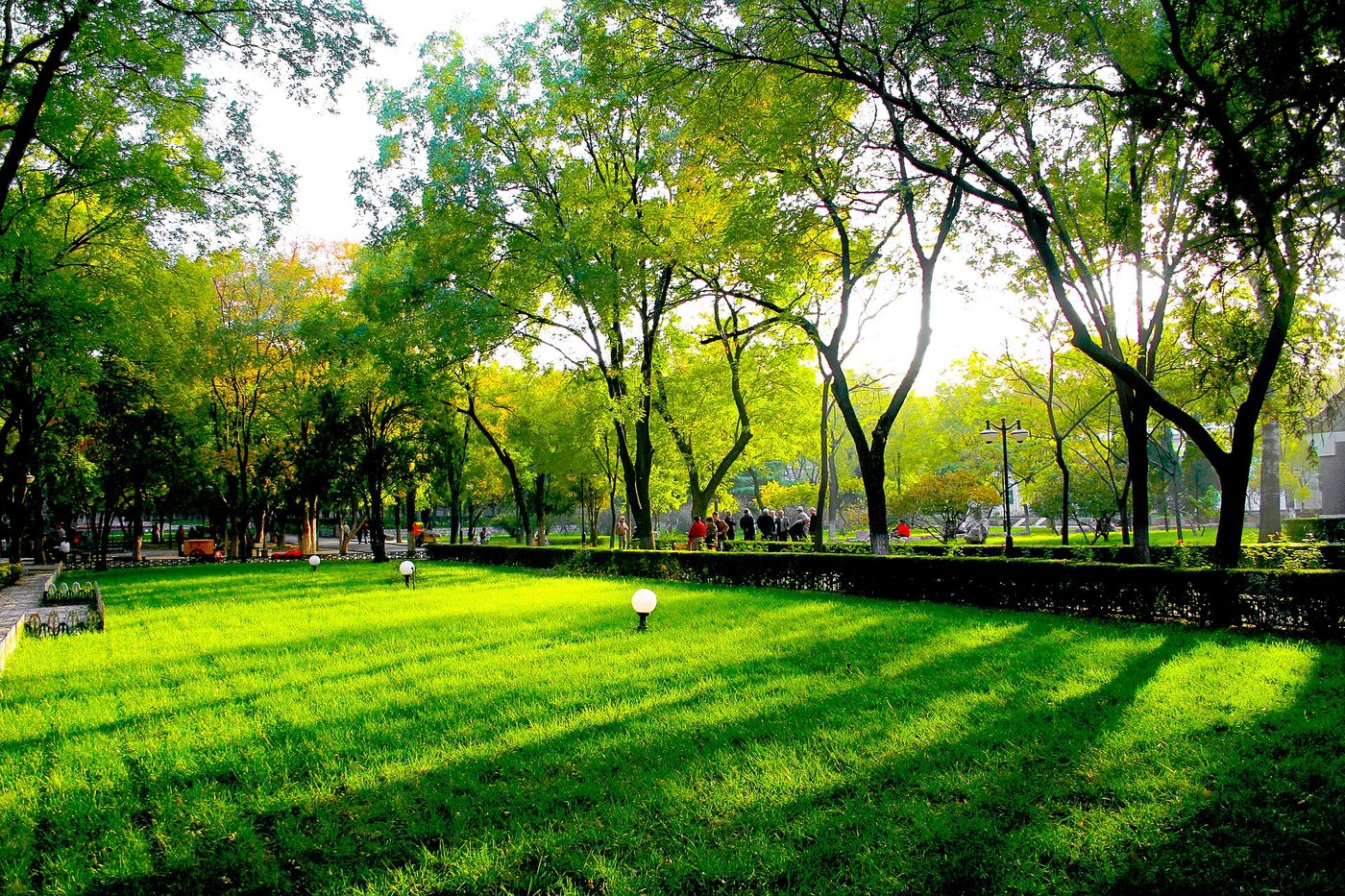 Campus de Université du Shandong en Chine