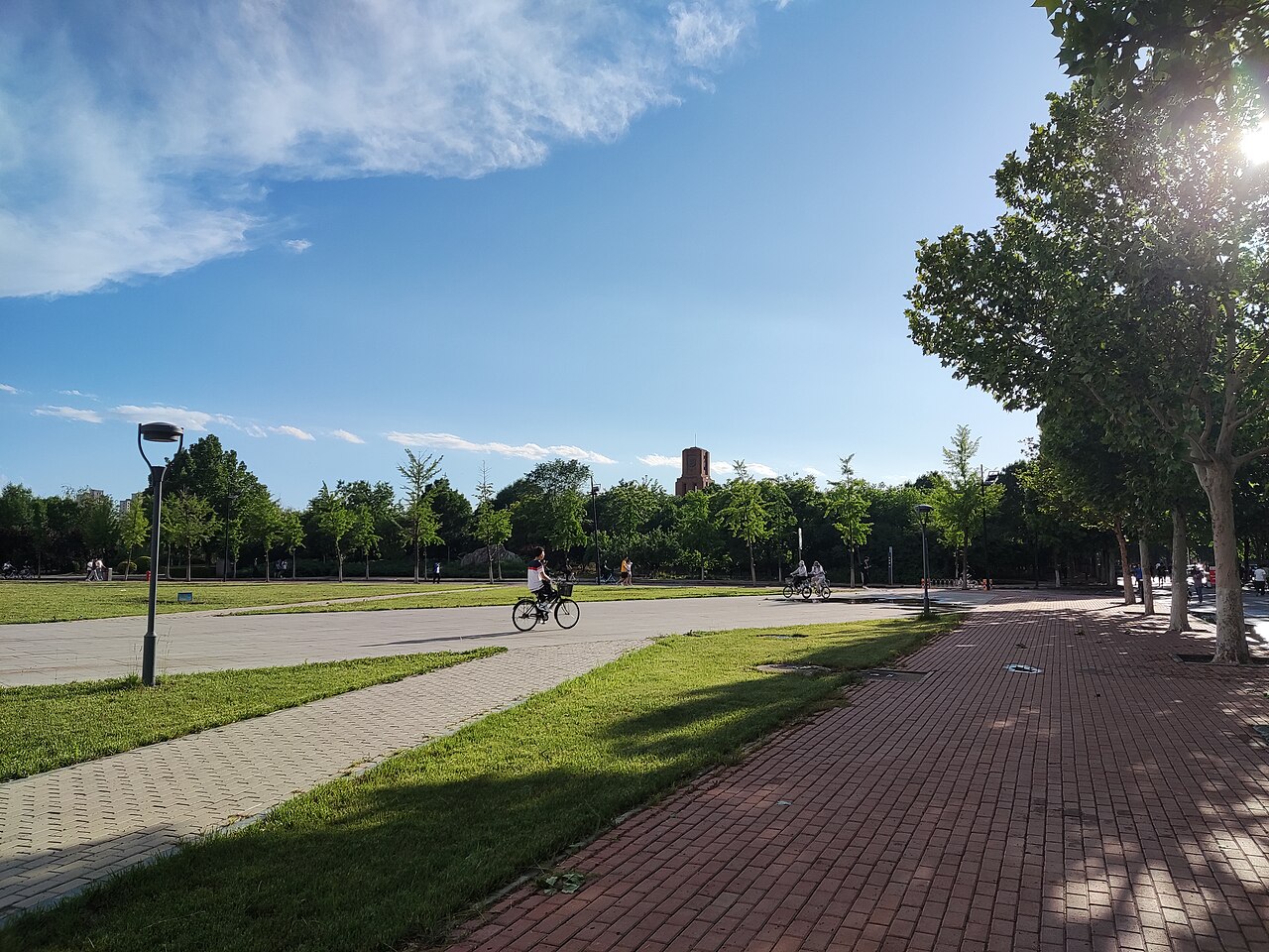 Campus de Tianjin University of Technology en Chine